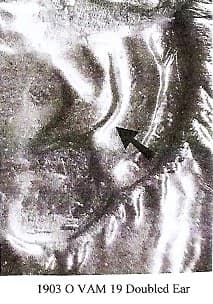 1903-O VAM-19