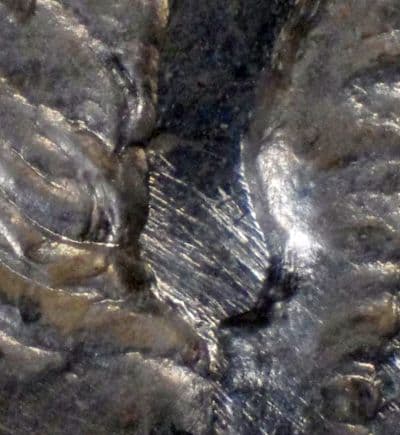 Image 9