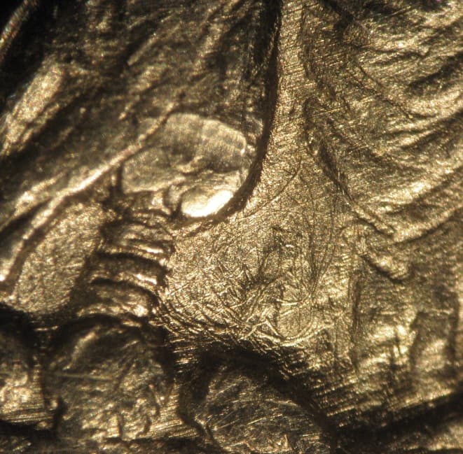 1921-D VAM-1CO