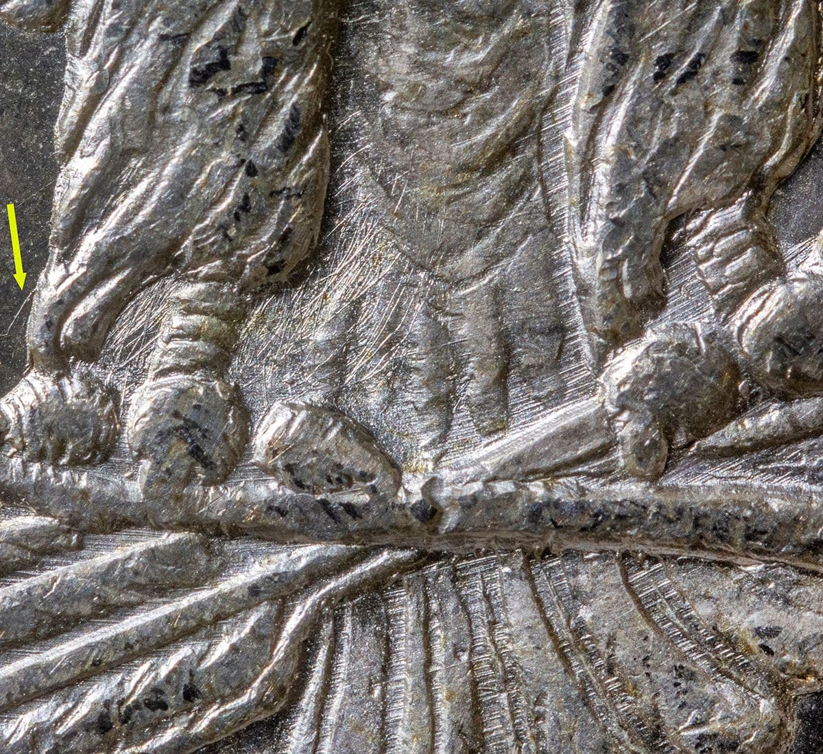Image 7