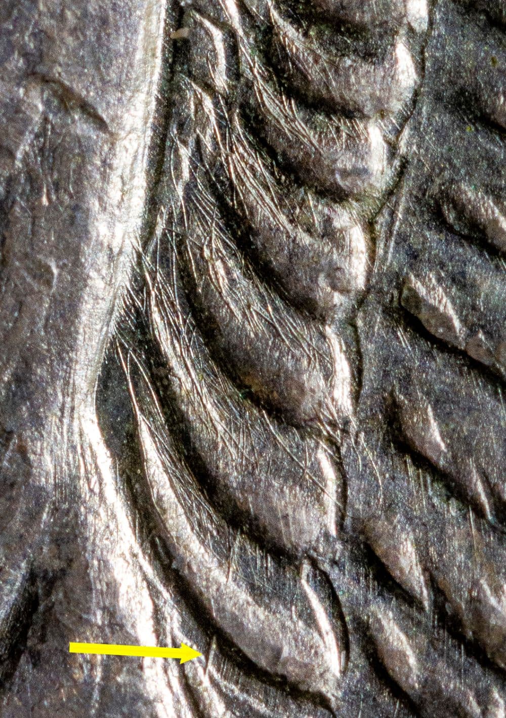 Image 10