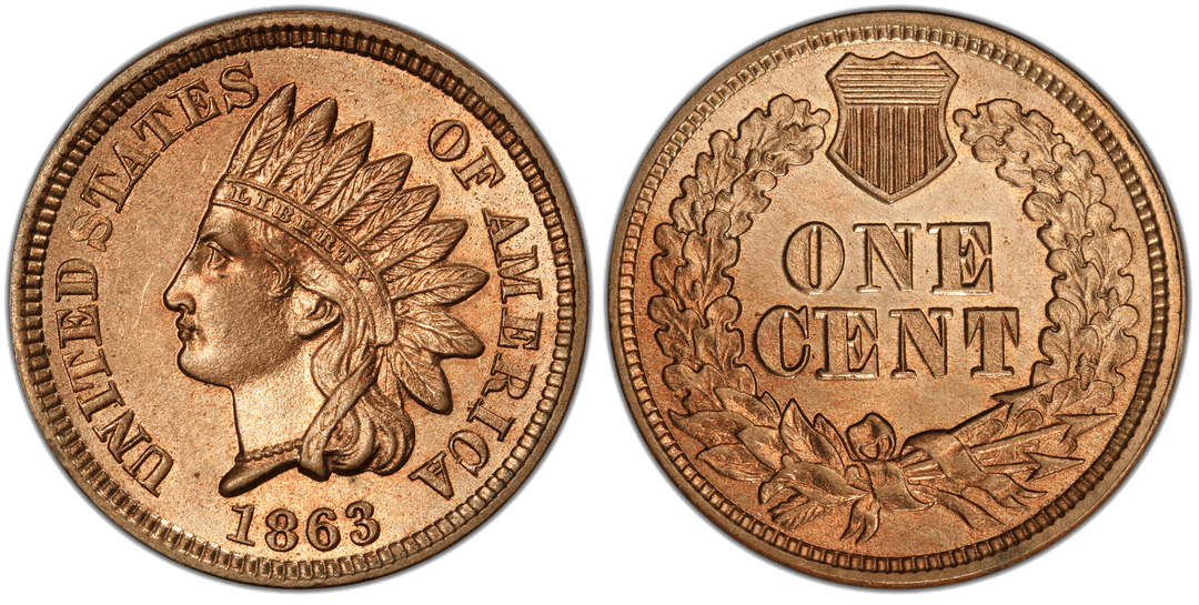 1863 Indian Head Cent Doubled Die Reverse FS-801 Snow-10