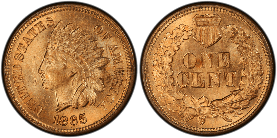 1865 Indian Head Cent (Plain 5) Atypical Die Clash (Obverse)