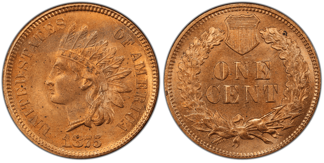 1875 Indian Head Cent Pre-Cud Obverse (12:30 to 2:00) FS-301 Late Die State