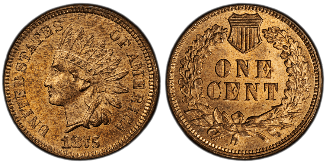 1875 Indian Head Cent Repunched Date FS-301 Snow-1