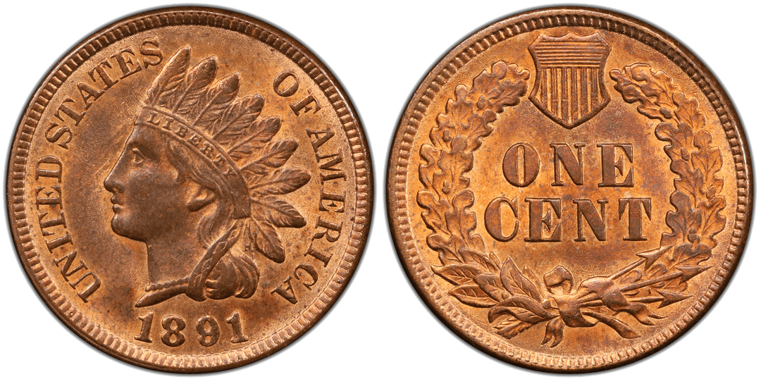 1891 Indian Head Cent Doubled Die Obverse FS-101 Snow-1