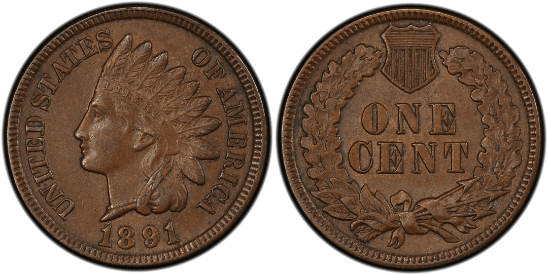 1891 Indian Head Cent Repunched Date FS-301 Snow-3
