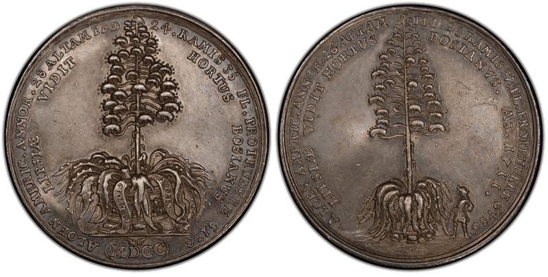 1711 Silver Medal Betts-108, American Aloe Plant
