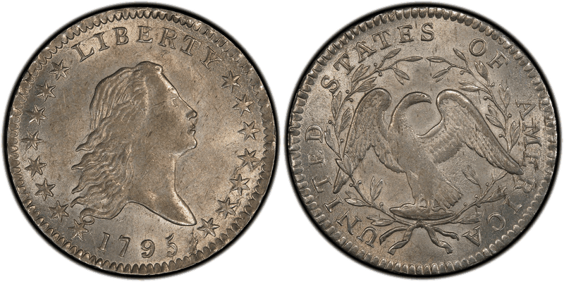 1795 Flowing Hair Half Dollar - A over E