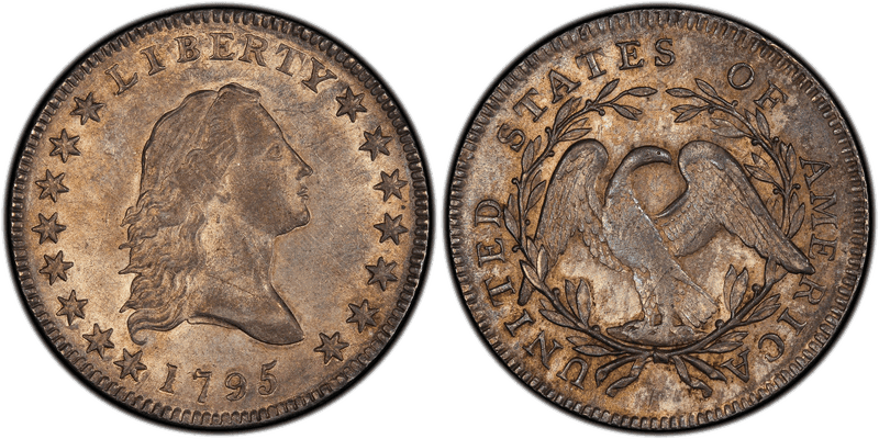 1795 Flowing Hair Half Dollar - Small Head