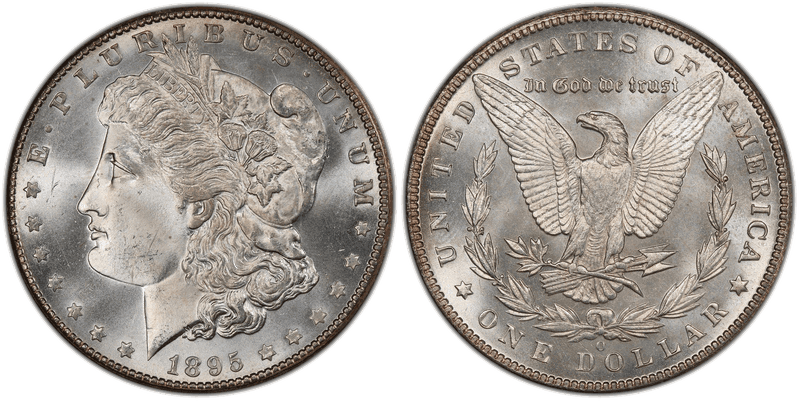 1895 Morgan Dollar