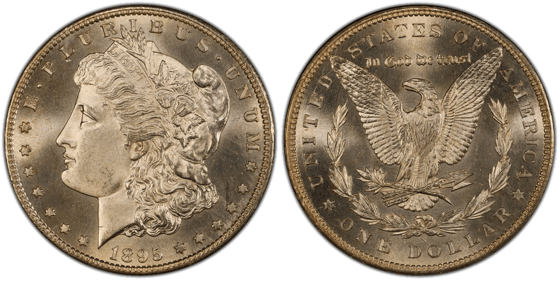 1895 (S) Morgan Dollar