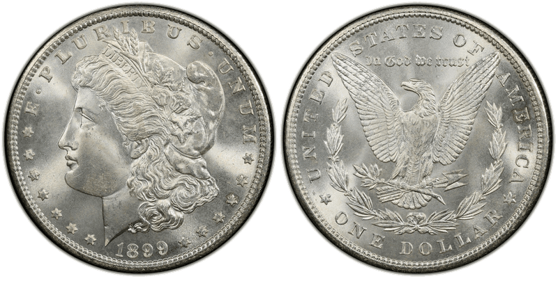 1899 Morgan Dollar