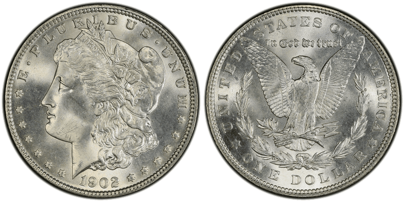 1902 Morgan Dollar