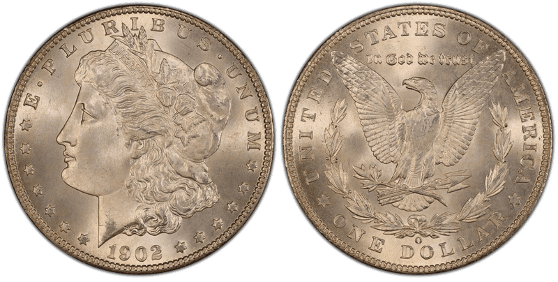 1902 Morgan Dollar