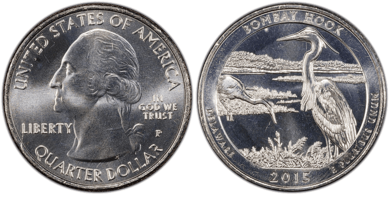 2015 (P) Bombay Hook National Park Quarter
