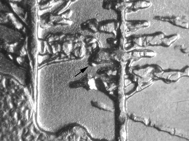 2005 (P) Nickel Doubled Die Reverse error coin