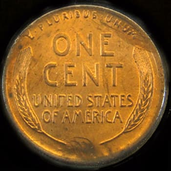 CU-1C-1913-02R Cud