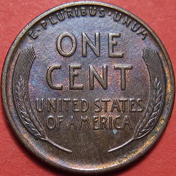 CU-1C-1915D-01 Rim Cud