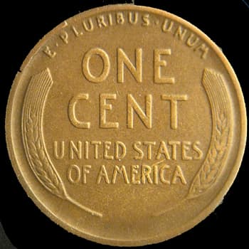CU-1C-1916D-01R Rim Cud
