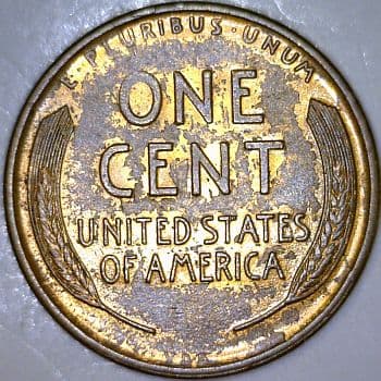 CU-1c-1909-06R Rim Cud