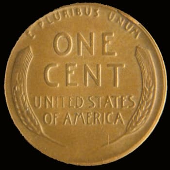 CU-1C-1954-04R Rim Cud