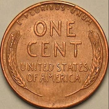 CU-1C-1954S-03R Rim Cud