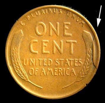 RCD-1c-1930-01R Retained Cud