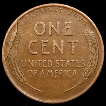 RCD-1c-1946-02R Retained Cud