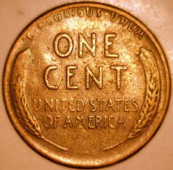 RCD-1c-1952S-03R Retained Cud