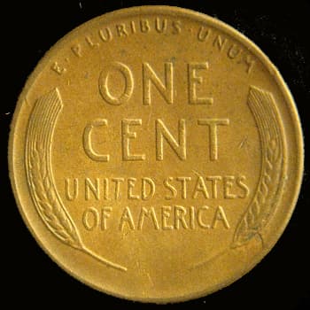 RCD-1c-1954S-04R Retained Cud