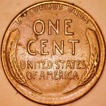 RCD-1c-1954S-06R Retained Cud