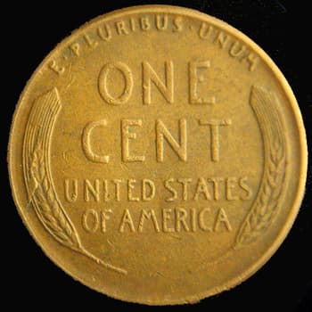 RCD-1c-1955-14R Retained Cud