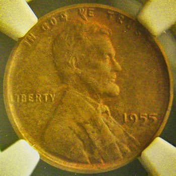 RCD-1c-1955-15 Retained Cud