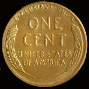RCD-1c-1955-17R Retained Cud