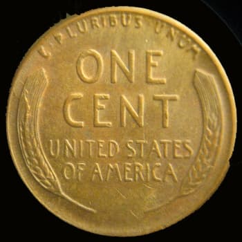 RCD-1c-1955-18R Retained Cud