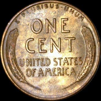 RCD-1c-1955S-06R Retained Cud