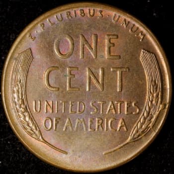 RCD-1c-1955S-10R Retained Cud