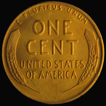RCD-1c-1955S-16R Retained Cud