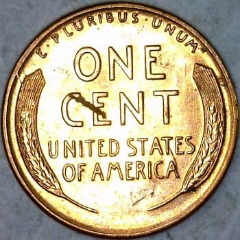 RCD-1c-1955S-20R Retained Cud