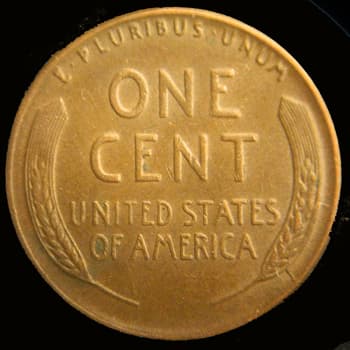 RCD-1c-1956-05R Retained Cud