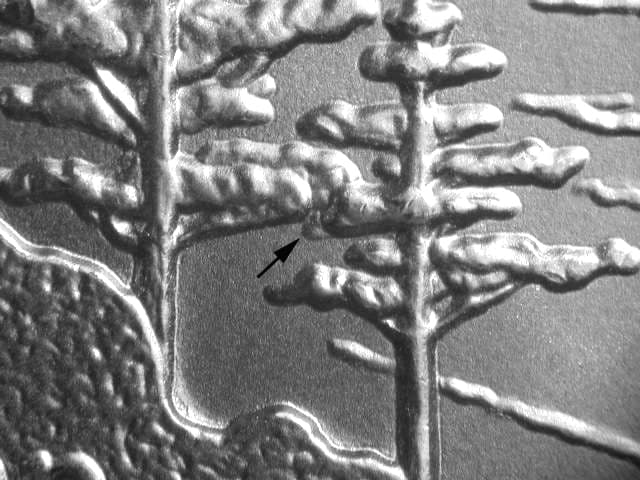 2005 Doubled Die Reverse WDDR-018