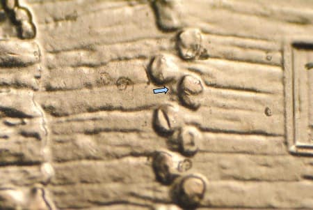 2009-D Doubled Die Reverse WDDR-038