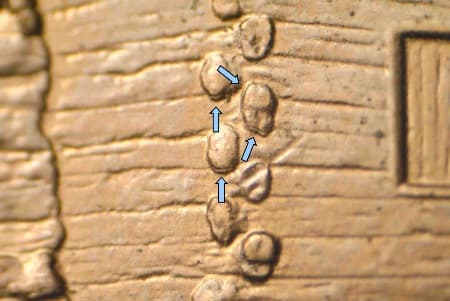 2009-D Doubled Die Reverse WDDR-044