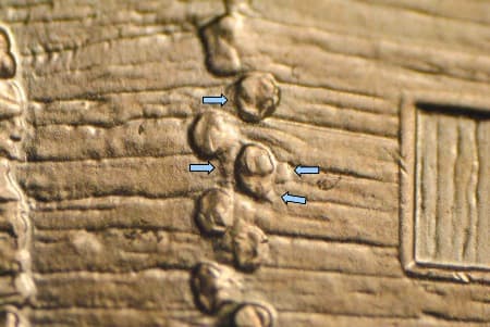 2009-D Doubled Die Reverse WDDR-049