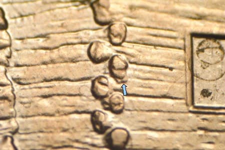 2009-D Doubled Die Reverse WDDR-050