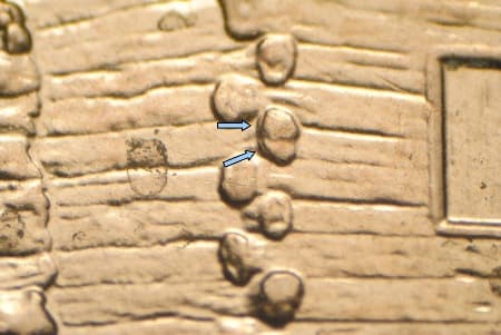 2009-D Doubled Die Reverse WDDR-055