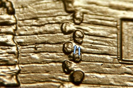2009 Doubled Die Reverse WDDR-103