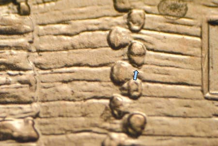 2009 Doubled Die Reverse WDDR-130