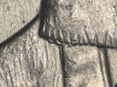 2016 Doubled Die Reverse WDDR-010